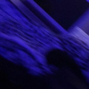 Meet your Posher, Maddie